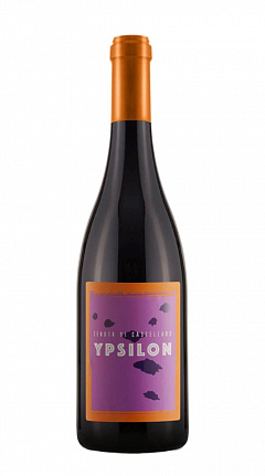  Вино Тенута ди Кастелларо Ипсилон красное сухое 0,75 л
