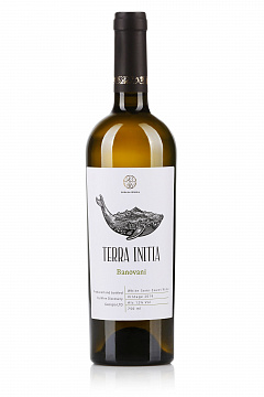  Вино Терра Иниция Бановани белое полусладкое 0,75 л